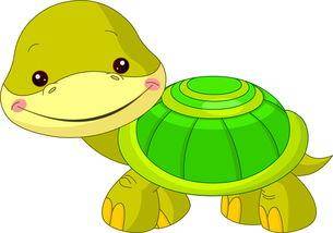 What does the Brazilian turtle eat grow fast