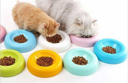 What if the cat doesn’t eat cat food? You can try these moves