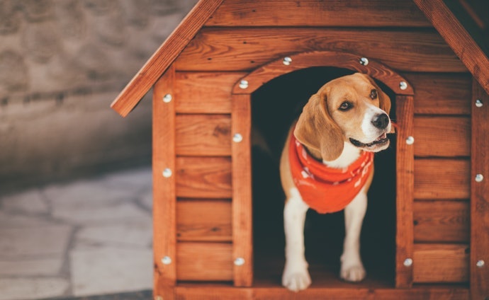 Top 8 Popular Outdoor Dog Houses in 2022