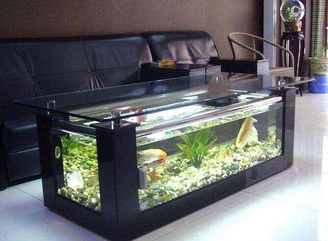 Fish tank placed in the living room where the best, these locations have special significance