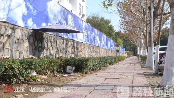 More than 20 loving cats’ nests have appeared in Xianlin Campus of Nanshi University