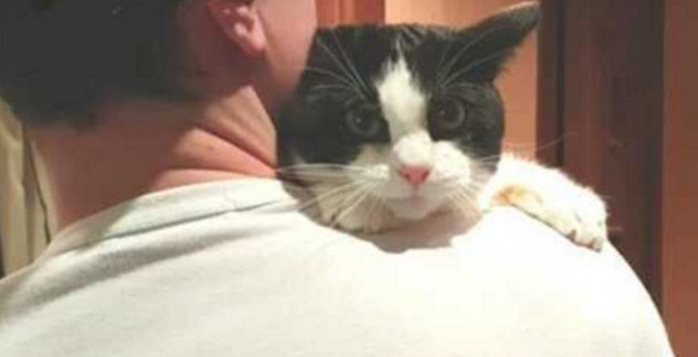 Kitten scared to death before bathing, but unexpectedly into the water, but comfortable to meow! ,