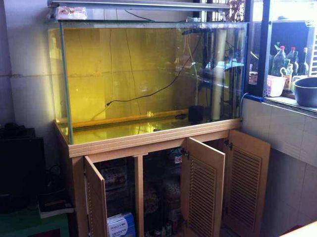 How to deal with cloudy fish tank water