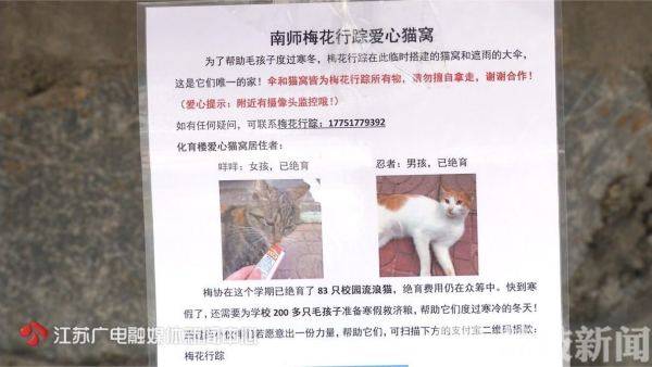 More than 20 loving cats' nests have appeared in Xianlin Campus of Nanshi University