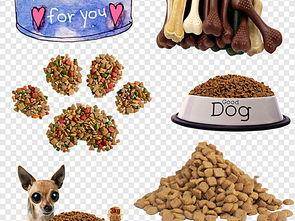 How to make puppy dog food